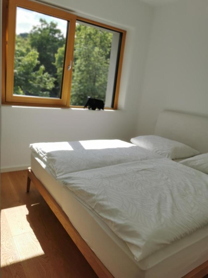 Apartment 191 With Balcony 卢布尔雅那 外观 照片