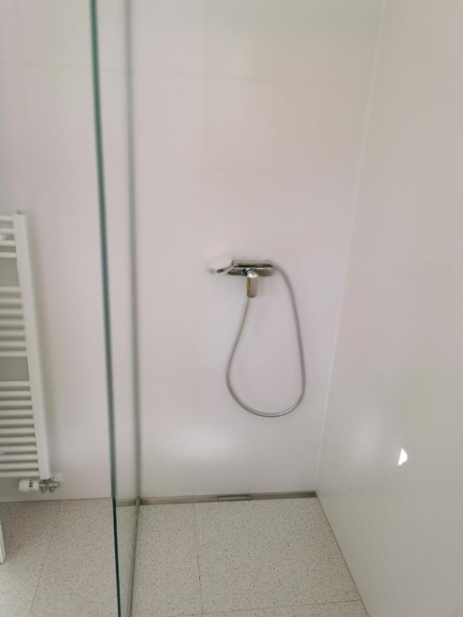 Apartment 191 With Balcony 卢布尔雅那 外观 照片